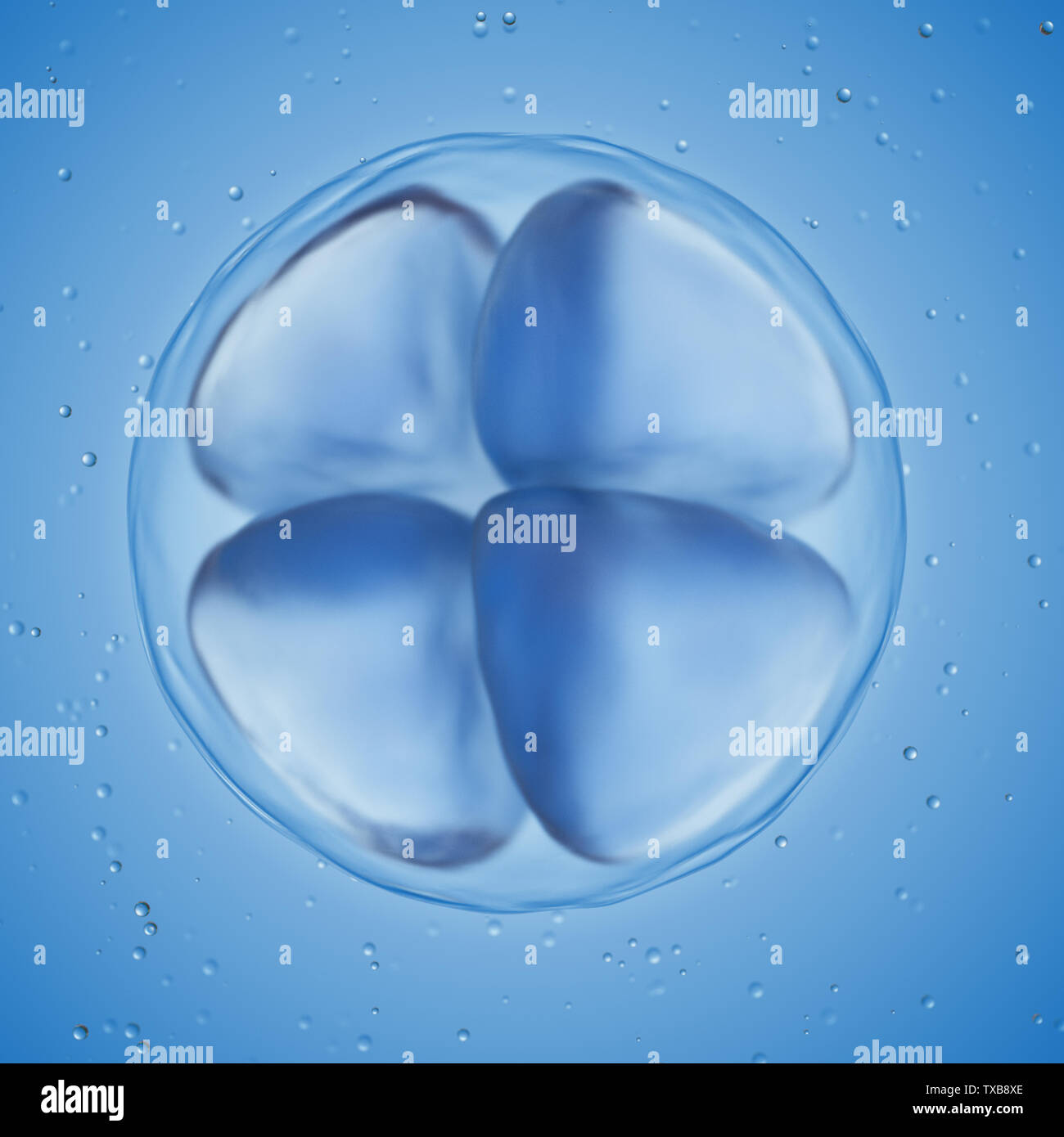 3d reso illustrazione di una cella 4 uovo Foto Stock