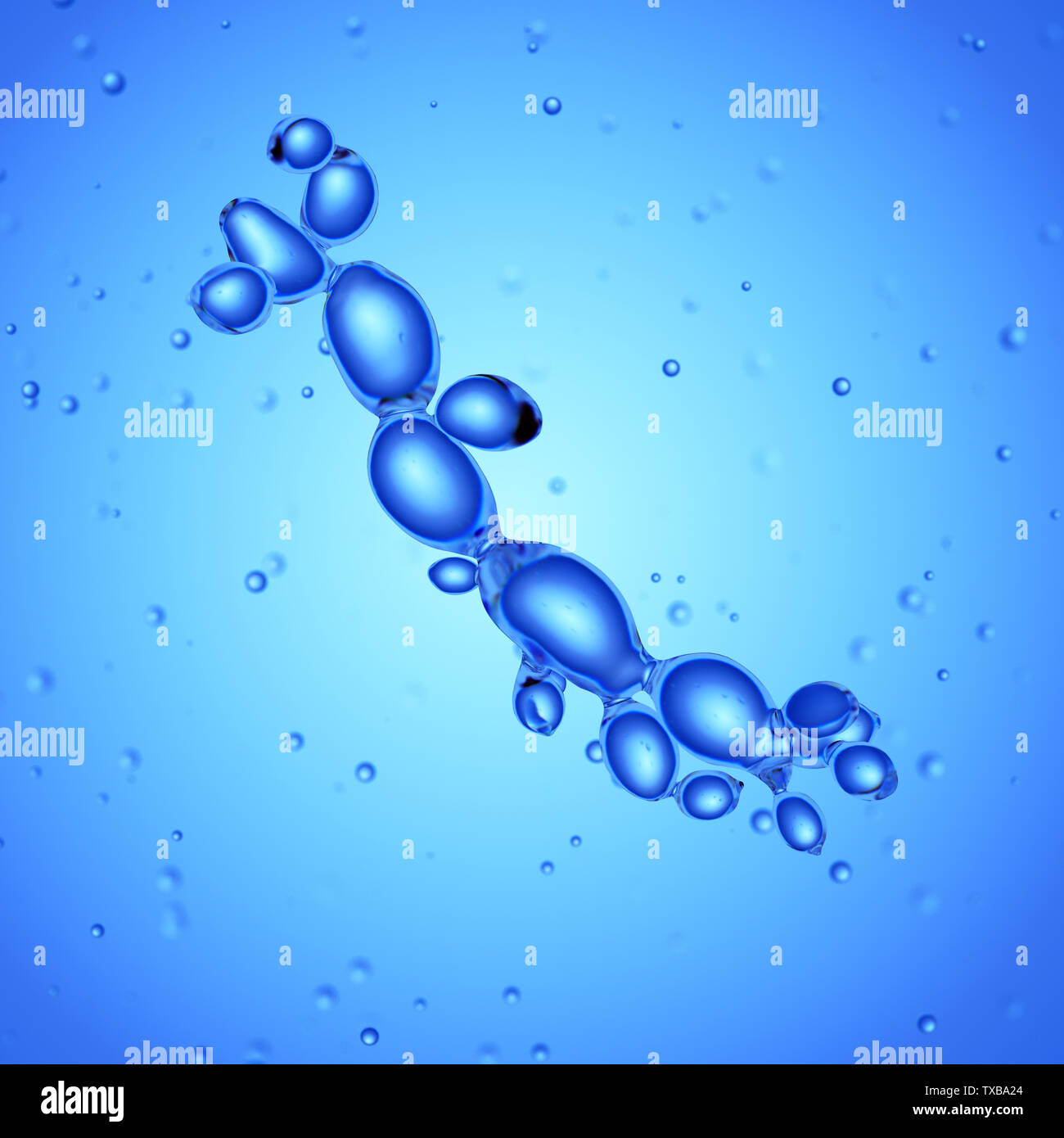 3D Rendering accurato dal punto di vista medico illustrazione della candida albicans Foto Stock 3D Rendering accurato dal punto di vista medico illustrazione della candida albicans Foto Stock