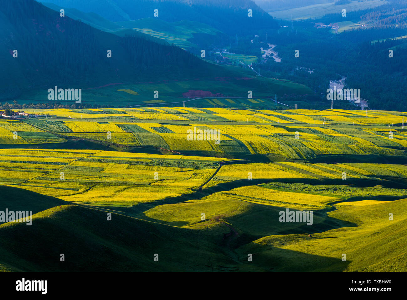 Paesaggio naturale di montagna Zhuoer, Qinghai Foto Stock