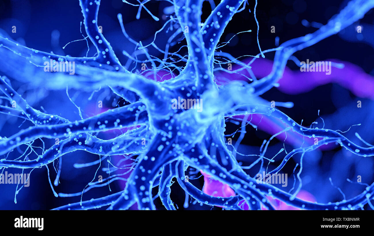 3D Rendering accurato dal punto di vista medico illustrazione di una cellula nervosa Foto Stock