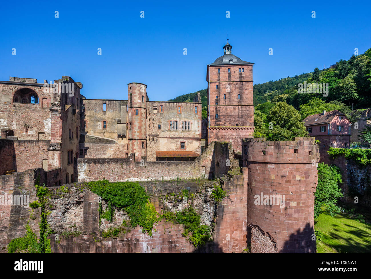 Vista del castello ruderi del castello di Heidelberg, Heidelberg, Baden Württemberg, Germania Foto Stock