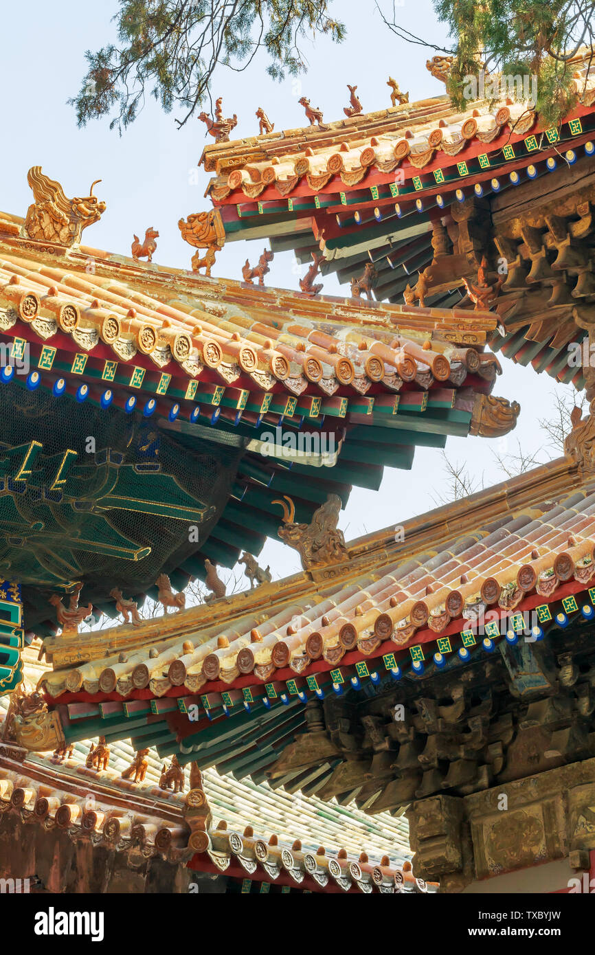 L'antico padiglione tablet del Tempio di Confucio in Qufu, Provincia di Shandong Foto Stock