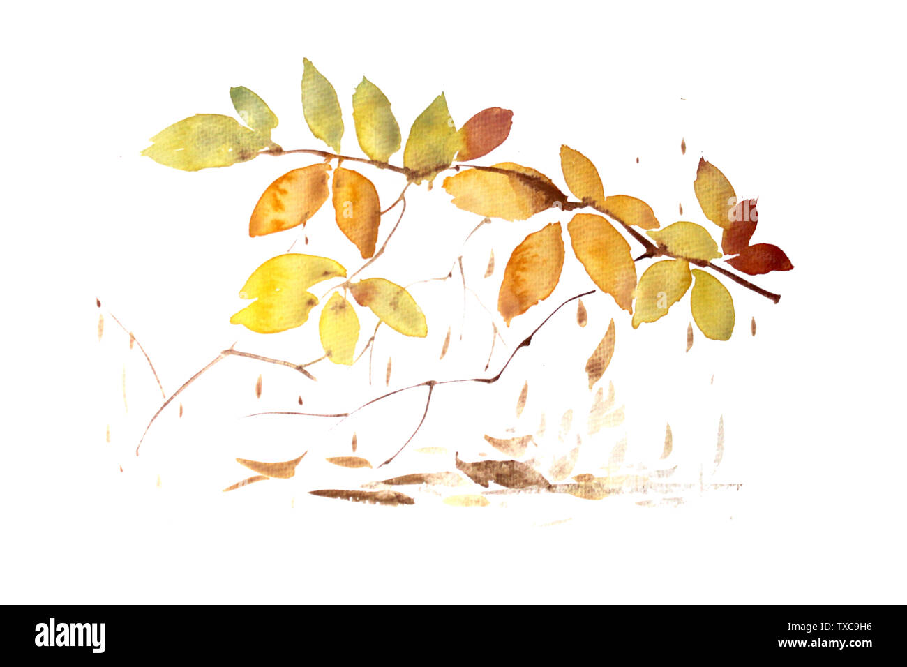 Impianto illustrazione dello sfondo naturale di foglie di design lascia colore texture acquerello pattern pattern decorazione Foto Stock