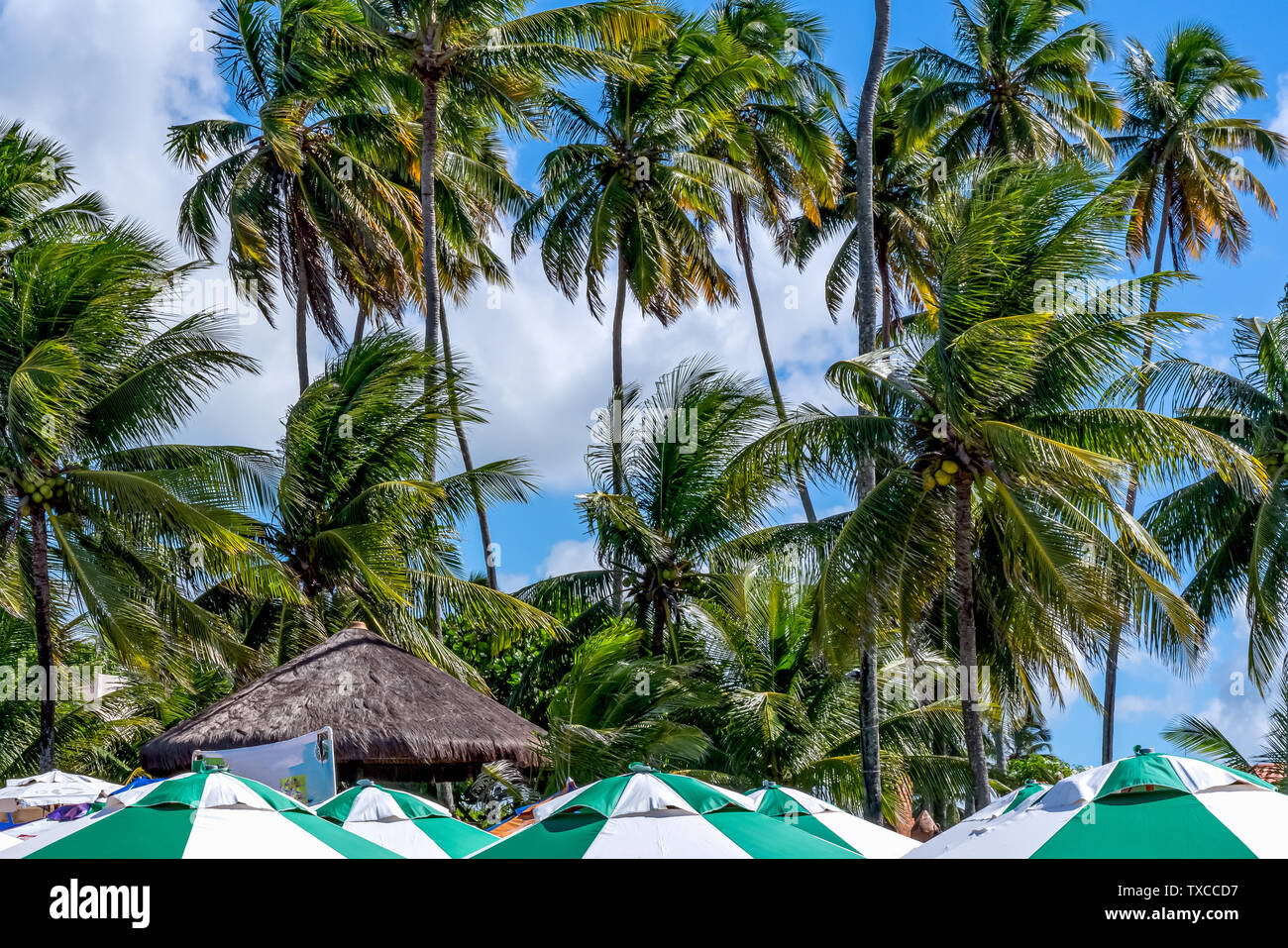 Porto de Galinhas, Ipojuca, Pernambuco, Brasile - Maggio 2019: Porto de Galinhas è una delle più belle spiagge del mondo, dove si può prendere un Foto Stock