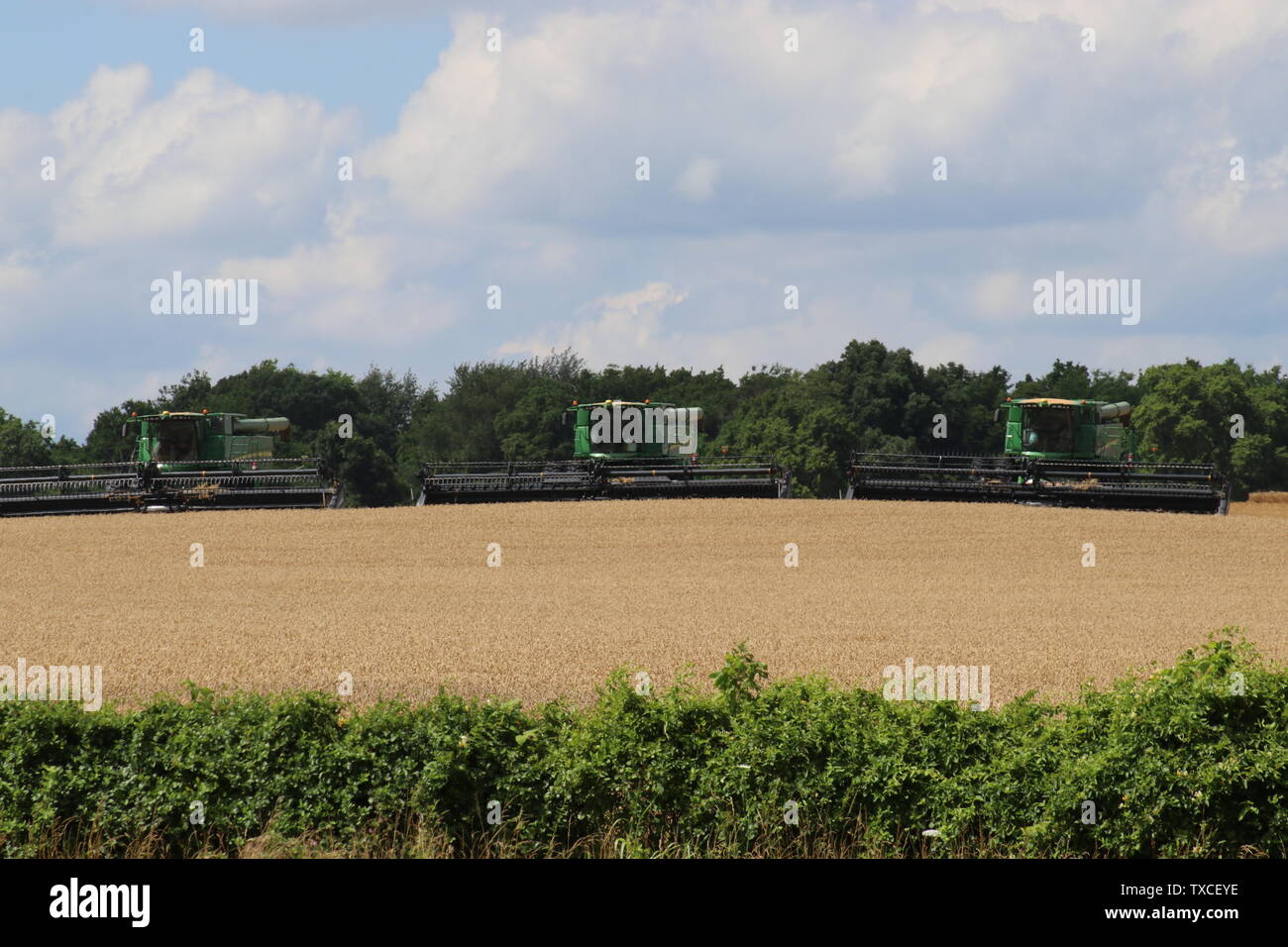 Tre John Deere in aumento Foto Stock