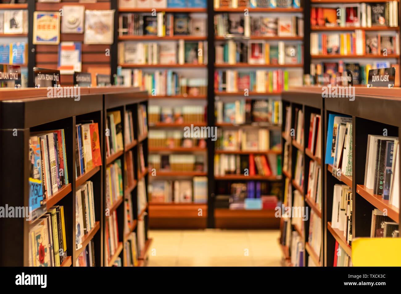 Vari libri sugli scaffali a un big book store. foto ha preso a Izmir/Turchia. Foto Stock