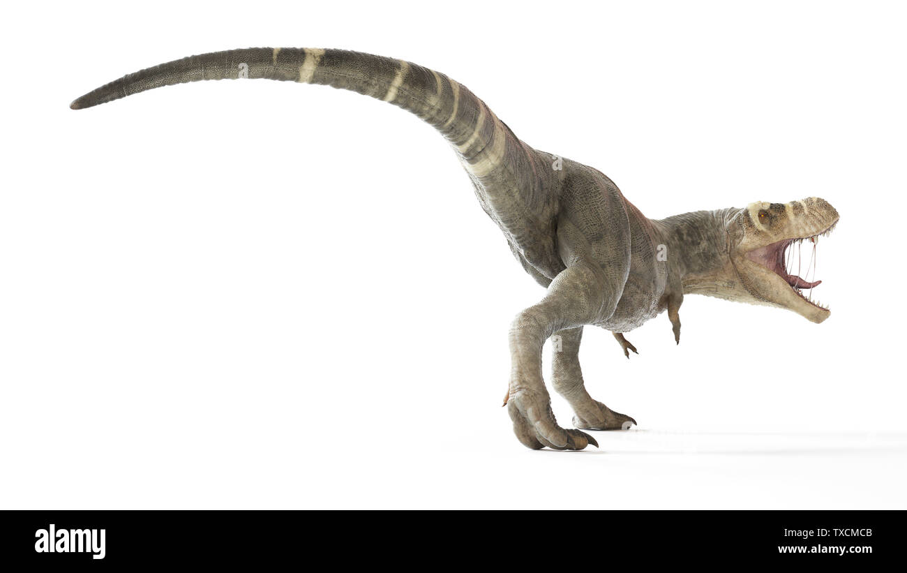 3d reso illustrazione di un T-Rex Foto Stock