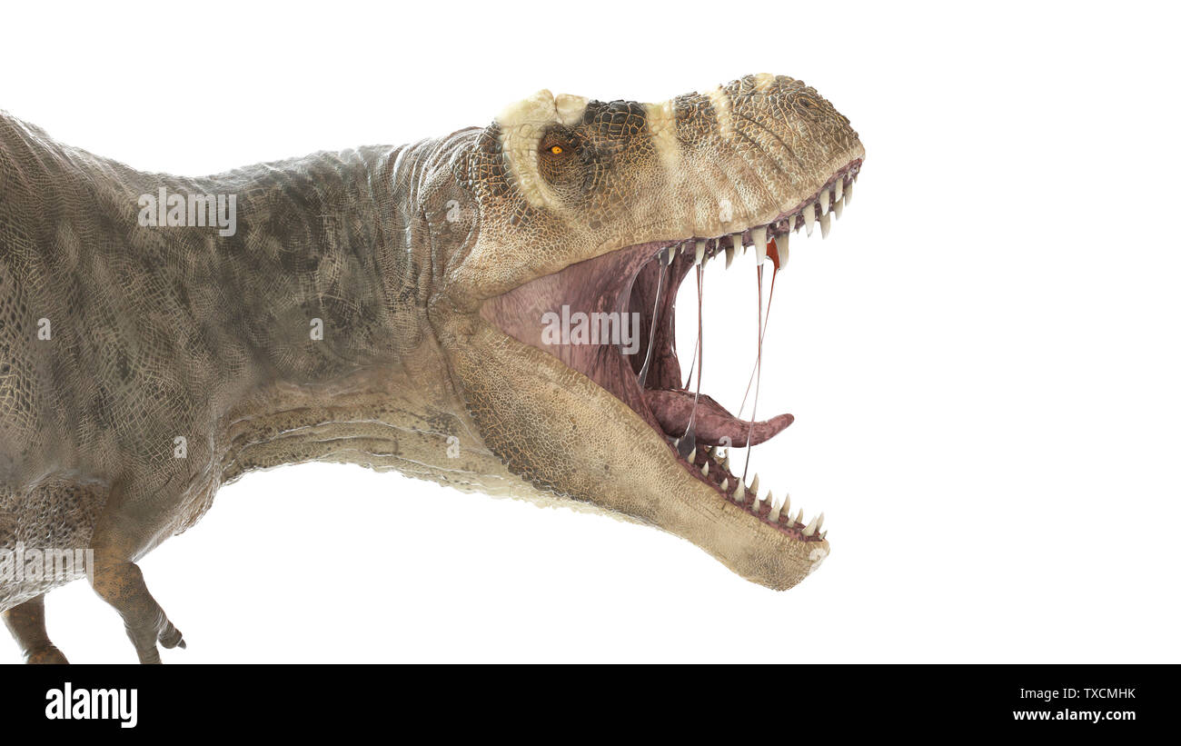 3d reso illustrazione di un T-Rex Foto Stock