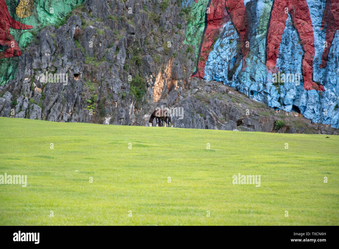 Il Murale della Preistoria di Leovigildo Gonzalez Morillo si trova nel mogote chiamato Pita. Sierra de los Organos, Pinar del Rio, Cuba. Foto Stock