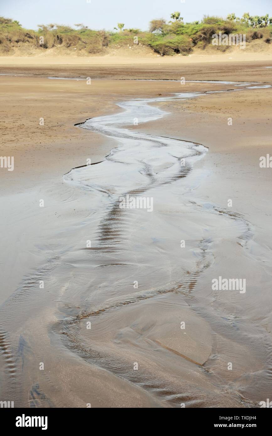 Modello di sabbia, Dandi beach, Navsari, Gujarat, India, Asia Foto Stock