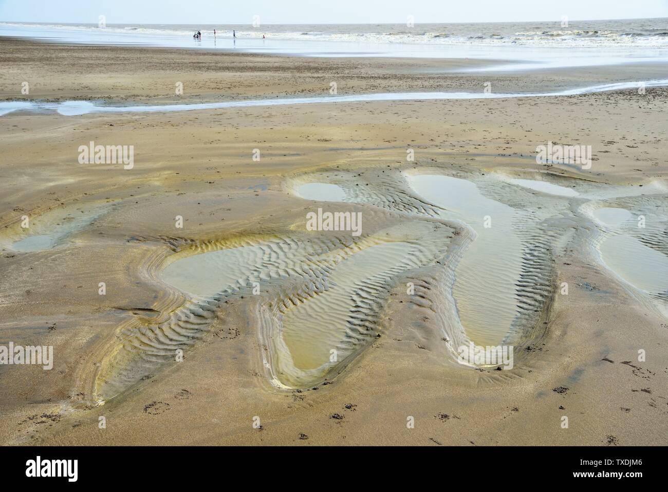 Modello di sabbia, Dandi beach, Navsari, Gujarat, India, Asia Foto Stock