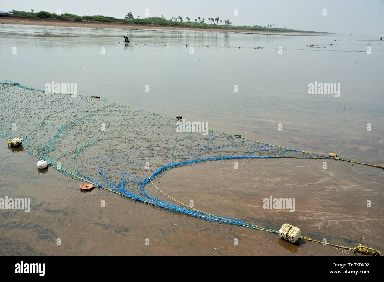 Rete da pesca, Ubharat beach, Navsari, Gujarat, India, Asia Foto Stock