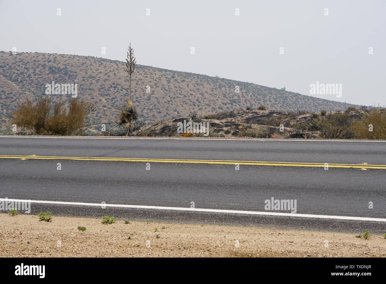 Escono dalla montagna Fire in Rio Verde, Arizona a giugno 23, 2019 Foto Stock