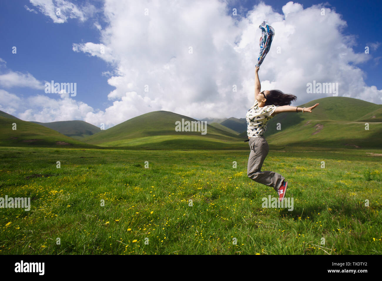 Sanke Gannan prairie Foto Stock