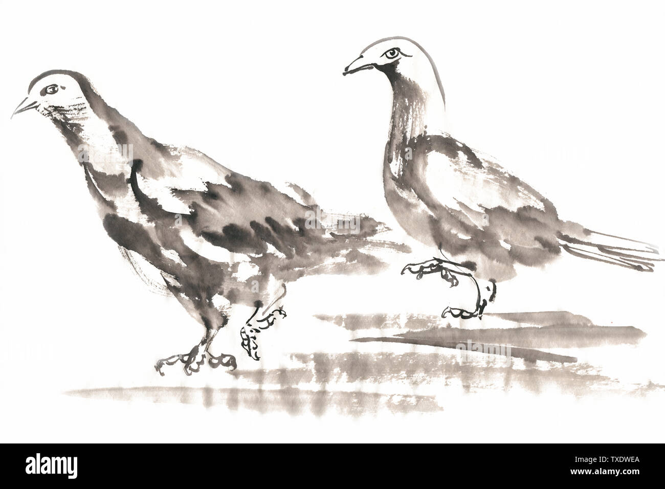 Cinese Pittura dipinta a mano di pittura di inchiostro libero di elementi di materiale Foto Stock