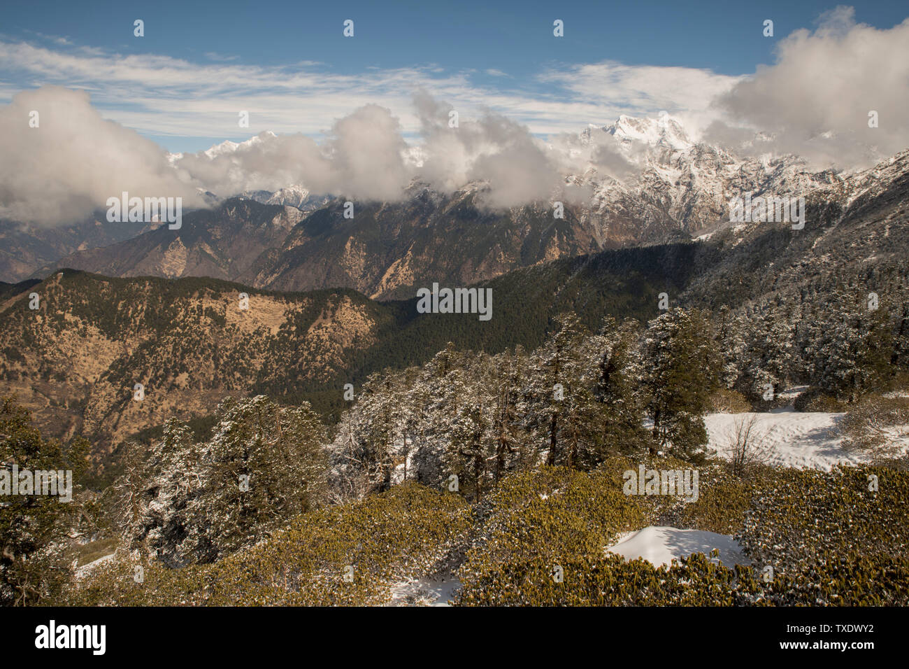 Chaukhamba montagne da Tungnath, Uttarakhand, India, Asia Foto Stock