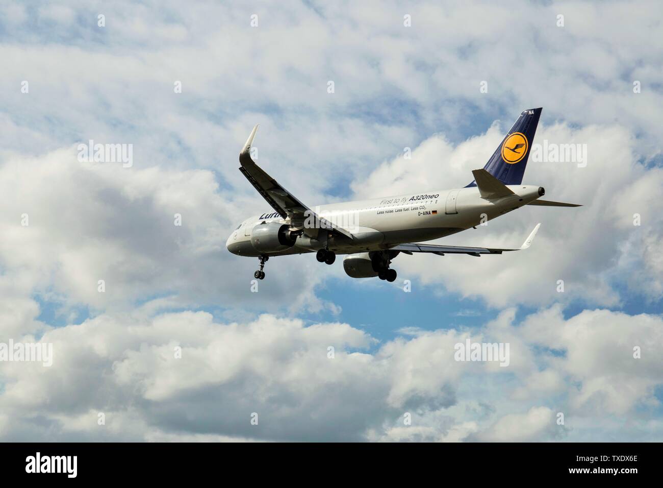 Deutsche Lufthansa AG, Lufthansa, vettore di bandiera della Germania, aereo che atterra all'aeroporto di Heathrow, all'aeroporto di Heathrow, all'aeroporto di Londra, all'aeroporto di Heathrow, a Londra, a Londra, REGNO UNITO Foto Stock