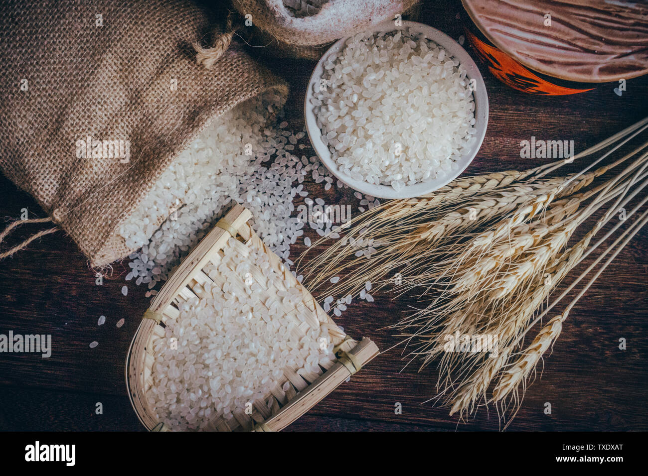 Vista dettagliata del grano e grani di varie Foto Stock