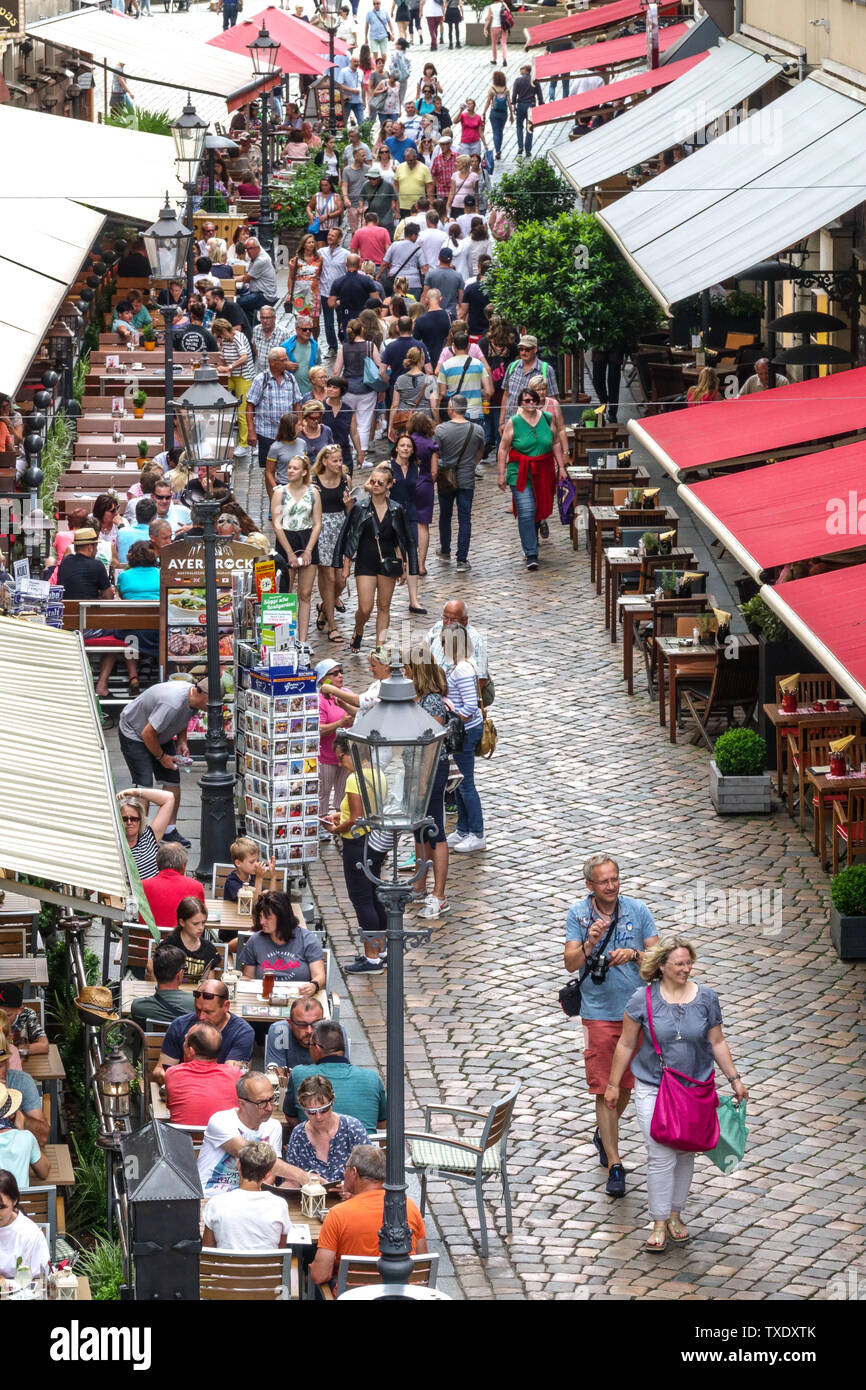 Dresda gente che cammina e fa shopping, turisti in Dresda Munzgasse Street, molti bar ristoranti e caffè nell'Altstadt Dresda città vecchia Germania Europa Foto Stock