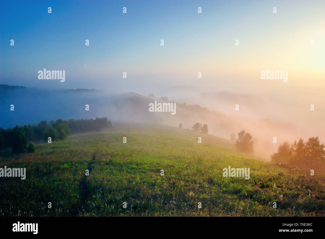 È tutto il paesaggio che vedo in alcuni luoghi i go e così via. Foto Stock