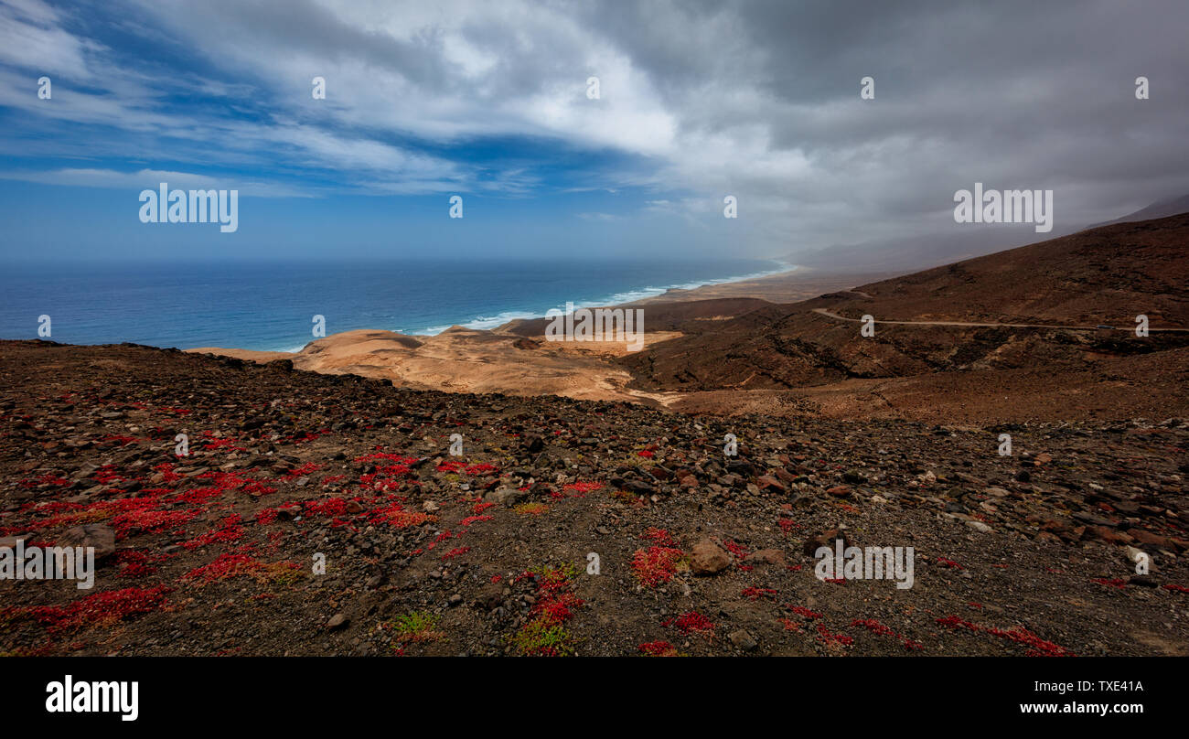 Spiaggia Cofete,Fuerteventura Foto Stock