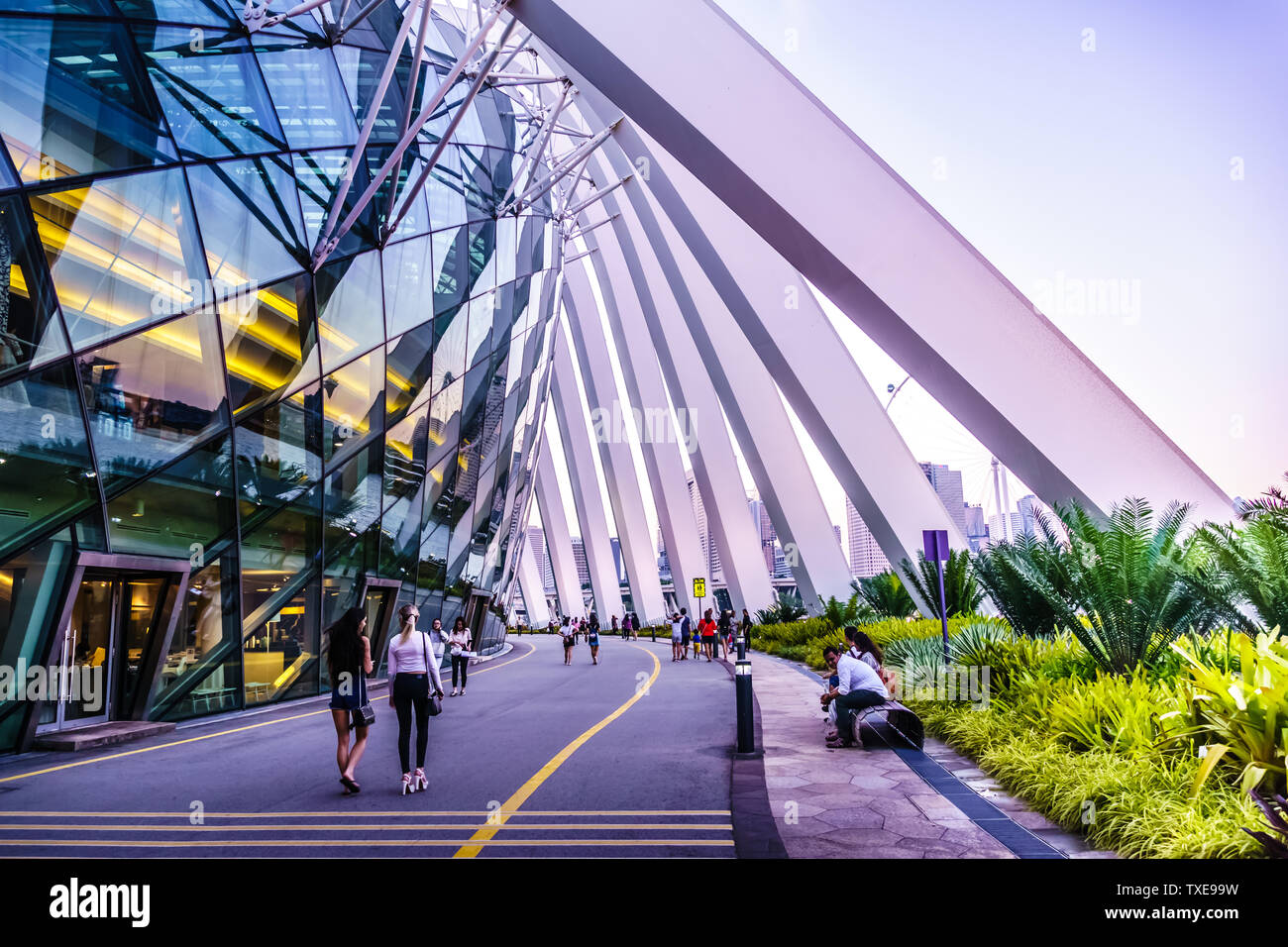 Singapore - Mar 15, 2019: giardini dalla baia, Dome di flusso esterno funzioni di architettura. Foto Stock