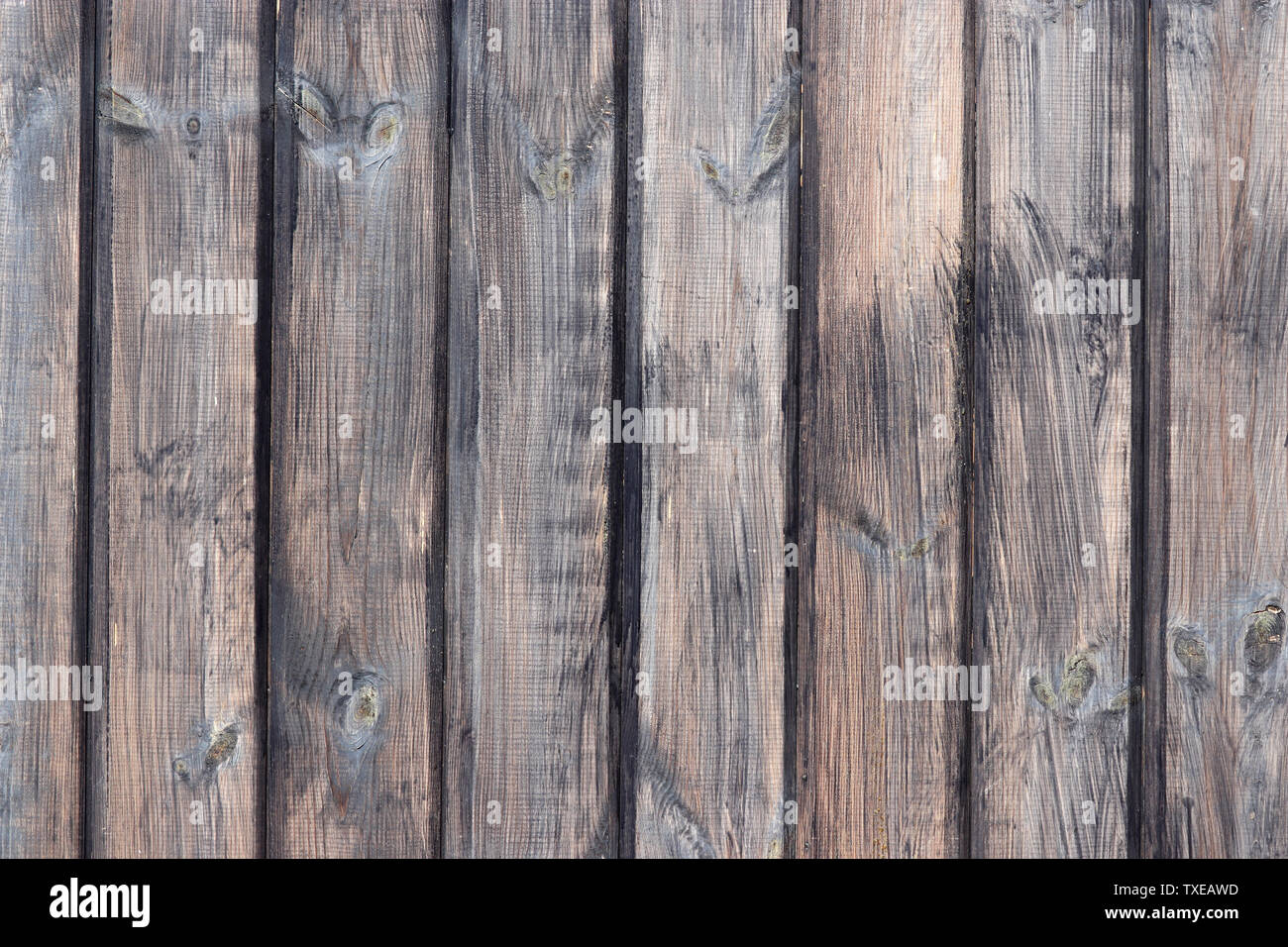 Pareti in legno naturale con schede madri. Marrone pavimentazione annodato texture di sfondo Foto Stock