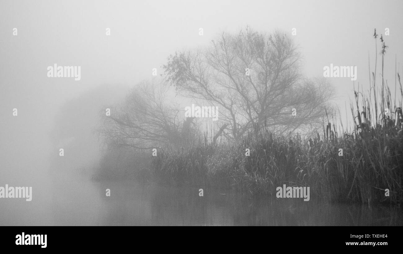 La prima luce di una nebbiosa e nebbiosa mattina creando un atmosfera pittoresca al Delta del Danubio Romania Foto Stock