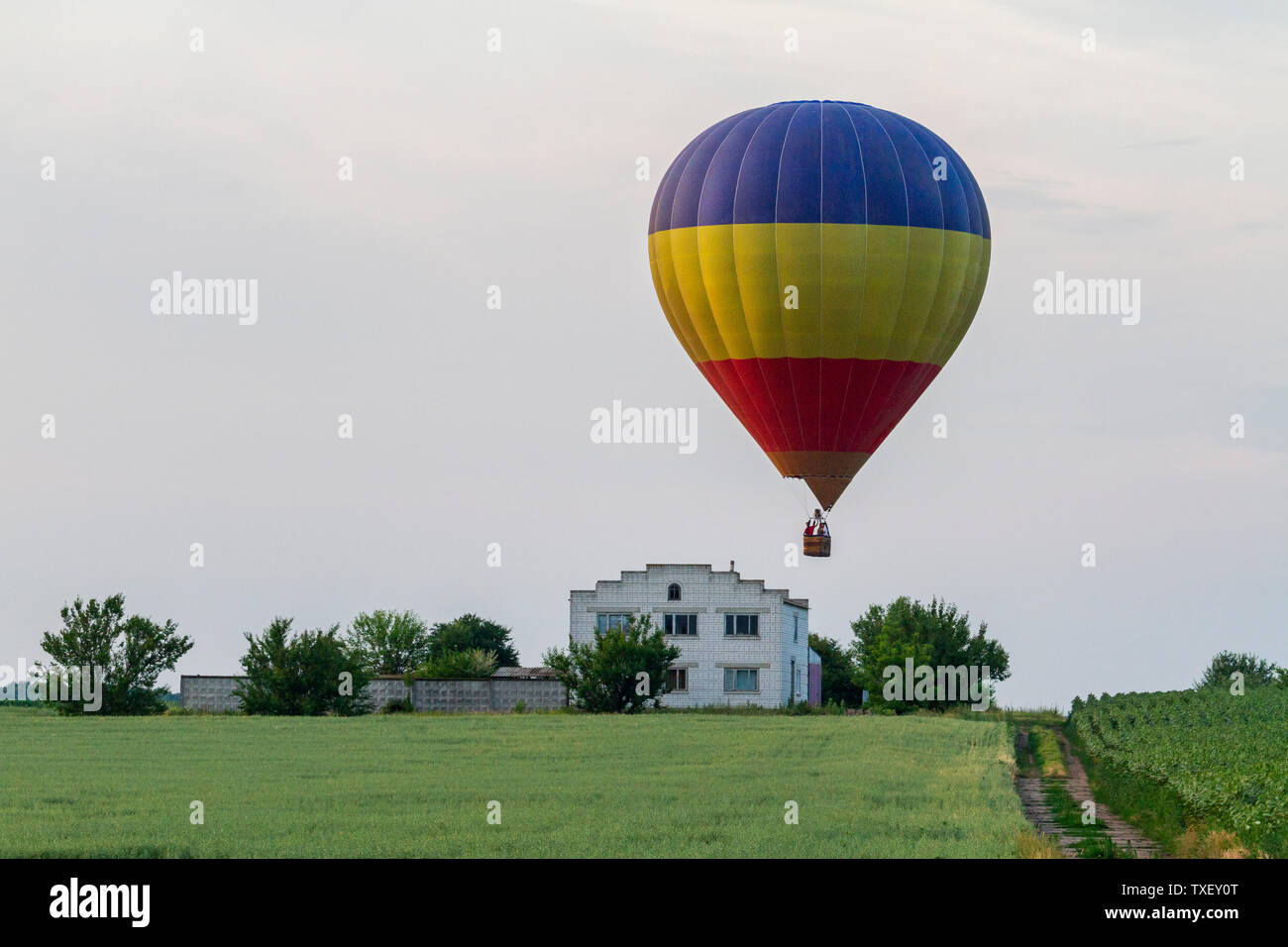 Il palloncino vola sopra il campo e la casa Foto Stock