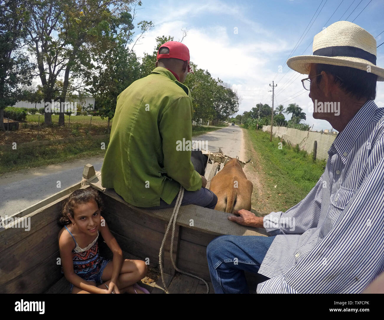 Coltivatore di tabacco e nipote a fare un giro in un bue carrello con il lavoratore agricolo interessato al banco la sua piantagione di tabacco Pinar Del Rio Provincia, Cuba, Caraibi Foto Stock