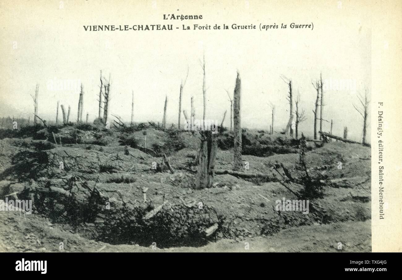 Una cartolina che rappresenta il Gruerie boschi in Vienne le Château (Argonne regione) dopo i combattimenti durante la guerra mondiale I. 1918 Foto Stock
