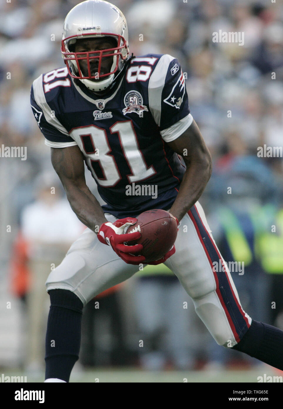 New England Patriots wide receiver Randy Moss (81) Si ritiene che le catture di una passata prima di correre per un 71-cantiere touchdown contro i delfini di Miami a Gillette Stadium di Foxboro, Massachusetts il 8 novembre 2009. I patrioti hanno sconfitto i delfini 27-17. UPI/Matthew Healey Foto Stock