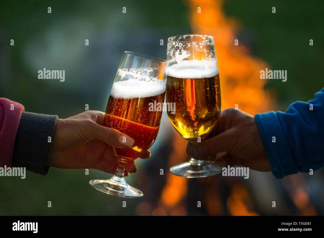 Famiglia di età diverse persone allegramente festa all'aperto con bicchieri di birra proclamare toast. Foto Stock