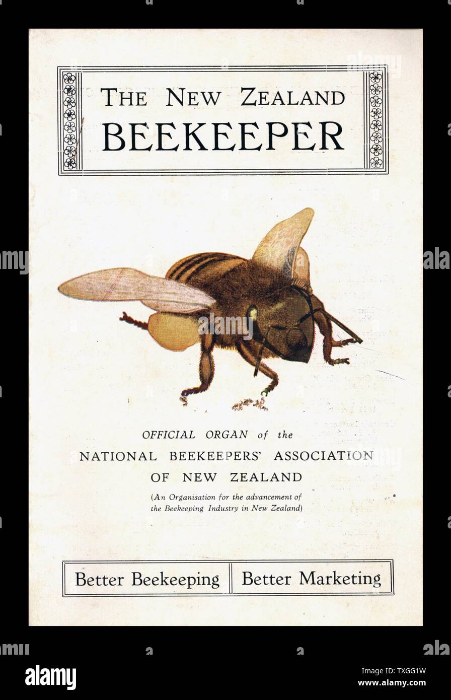 Coperchio della Nuova Zelanda apicoltore. Relativi alla Nuova Zelanda il Ministro dell'agricoltura William Lee Martin che erano stati coinvolti nel settore agricolo in tutta la sua vita e ha lavorato come un agricoltore in un punto. Foto Stock