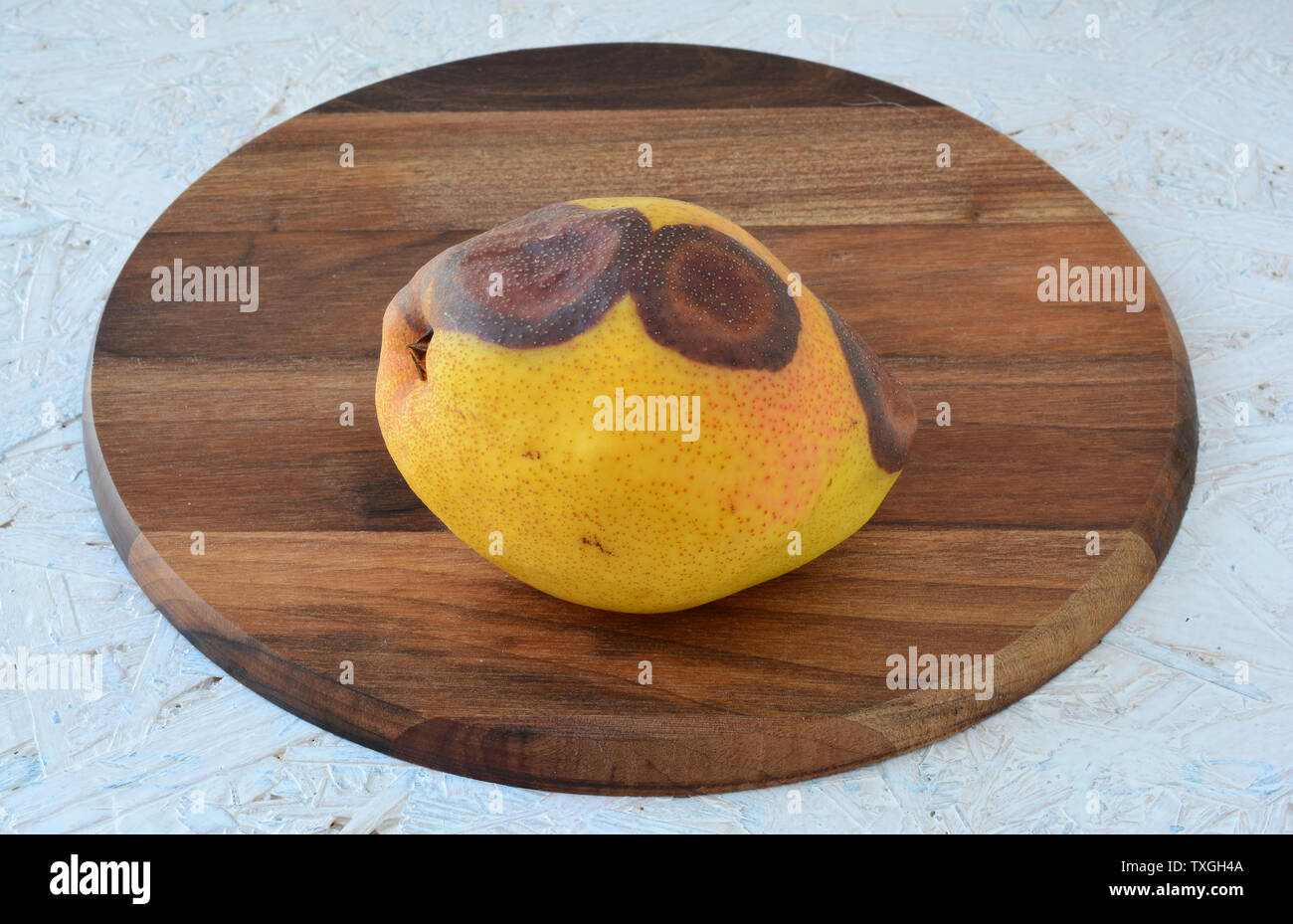 Il marcio pera sul round tagliere di legno su tavola bianco Foto Stock