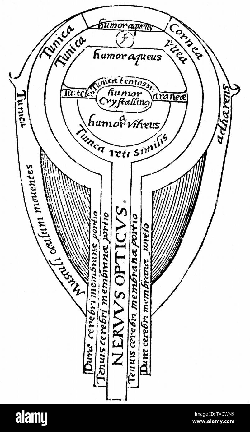 (Alhazen Ibn al-Haytham) C965-C1040. Il matematico arabo anatomia dell'occhio dalla illustrazione da un'edizione di Alhazen 'Optica thesaurus' 1572 Xilografia Basilea Foto Stock