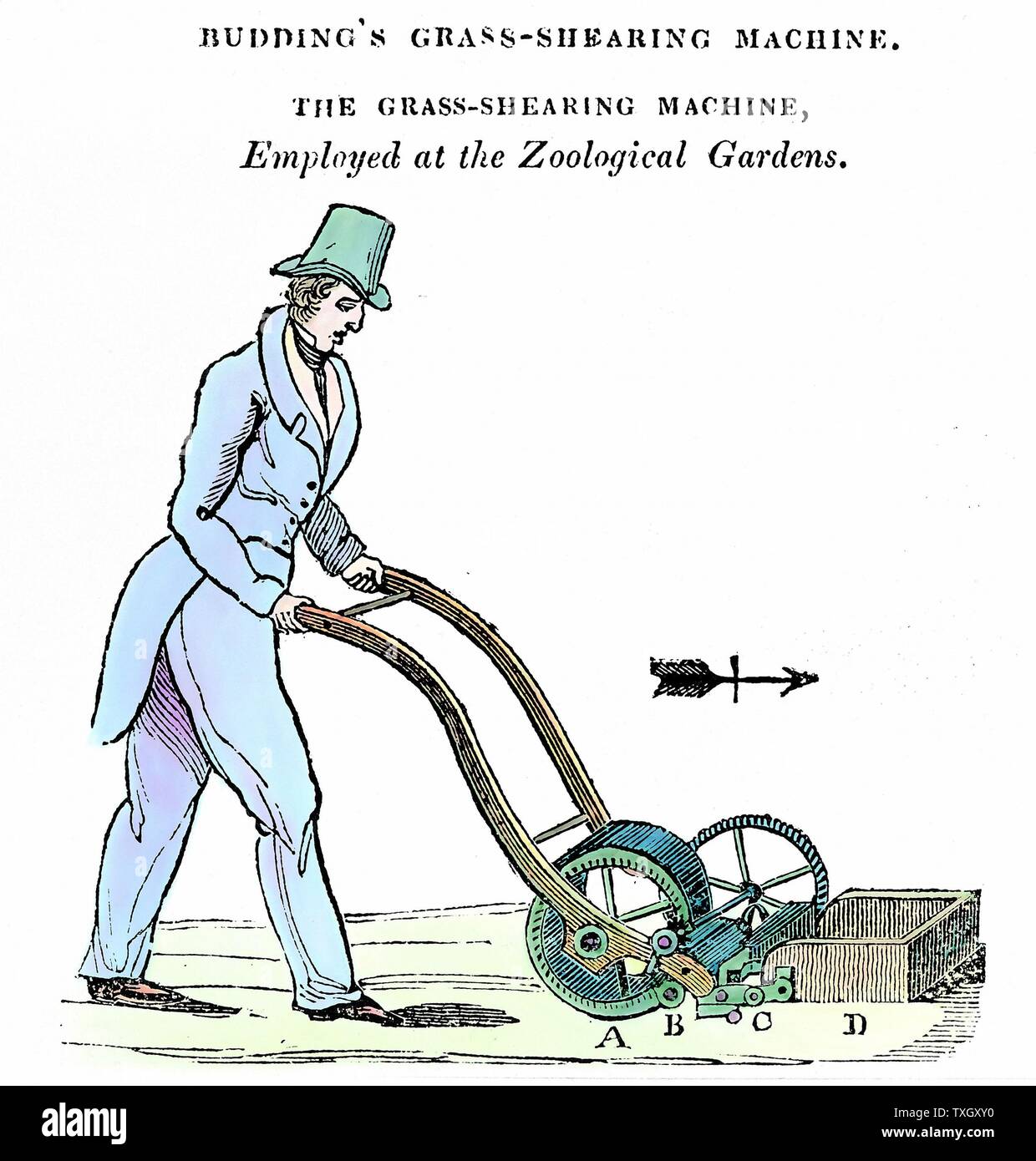 Tosaerba (macchina tranciatrice) inventato dal Signor germogliando e fabbricato da Ransome di Ipswich. Utilizzato nei giardini della Zoological Society c1832 incisione colorata Londra Foto Stock