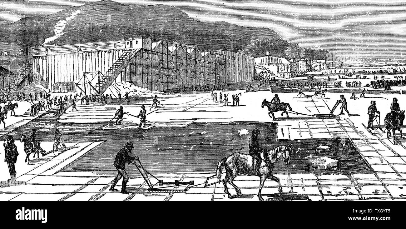 Raccolta di ghiaccio sul fiume Hudson nei pressi di New York. A cavallo il coltelli utilizzati per il taglio di blocchi. Sullo sfondo sono isolati i magazzini per lo stoccaggio di ghiaccio per l'estate l'uso. Da "La scienza Record' New York 1875. Incisione Foto Stock