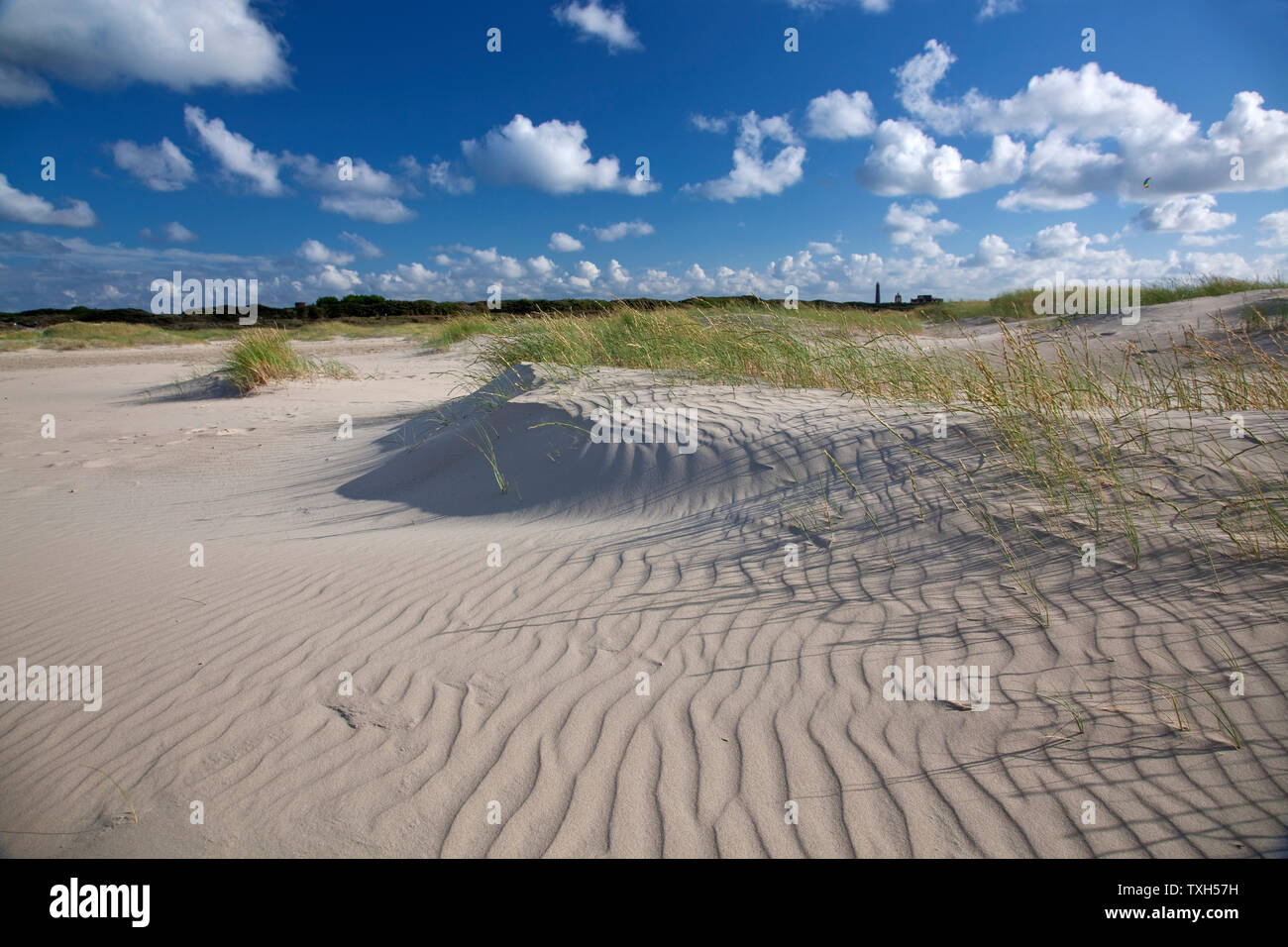 Geografia / viaggio, Germania, bassa Sassonia, Isole Frisone Orientali, Borkum, spiaggia di sabbia del Nord, diritti aggiuntivi-clearance-Info-non-disponibile Foto Stock
