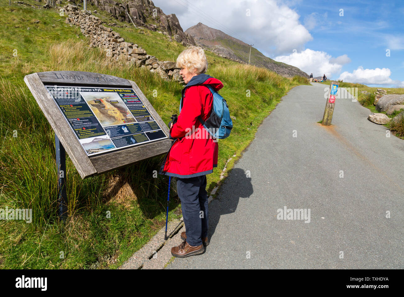 Un viandante studi il bi-lingue scheda di informazioni circa i minatori e Pyg vie a Pen Y Pass parcheggio auto Parco Nazionale di Snowdonia, Gwynedd, Wales, Regno Unito Foto Stock