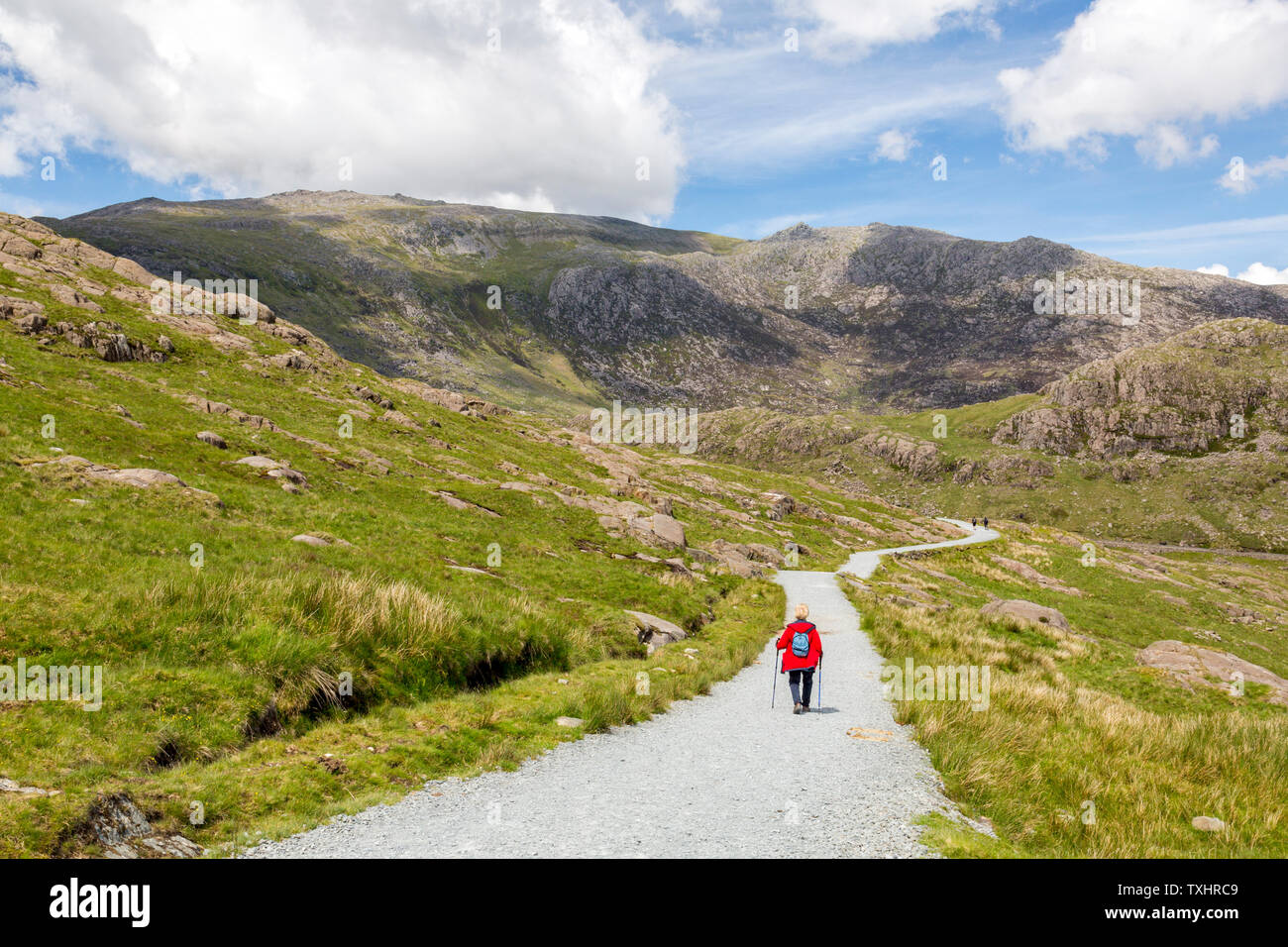Glyder Fawr e Glyder Fach visto da minatori via, Parco Nazionale di Snowdonia, Gwynedd, Wales, Regno Unito Foto Stock