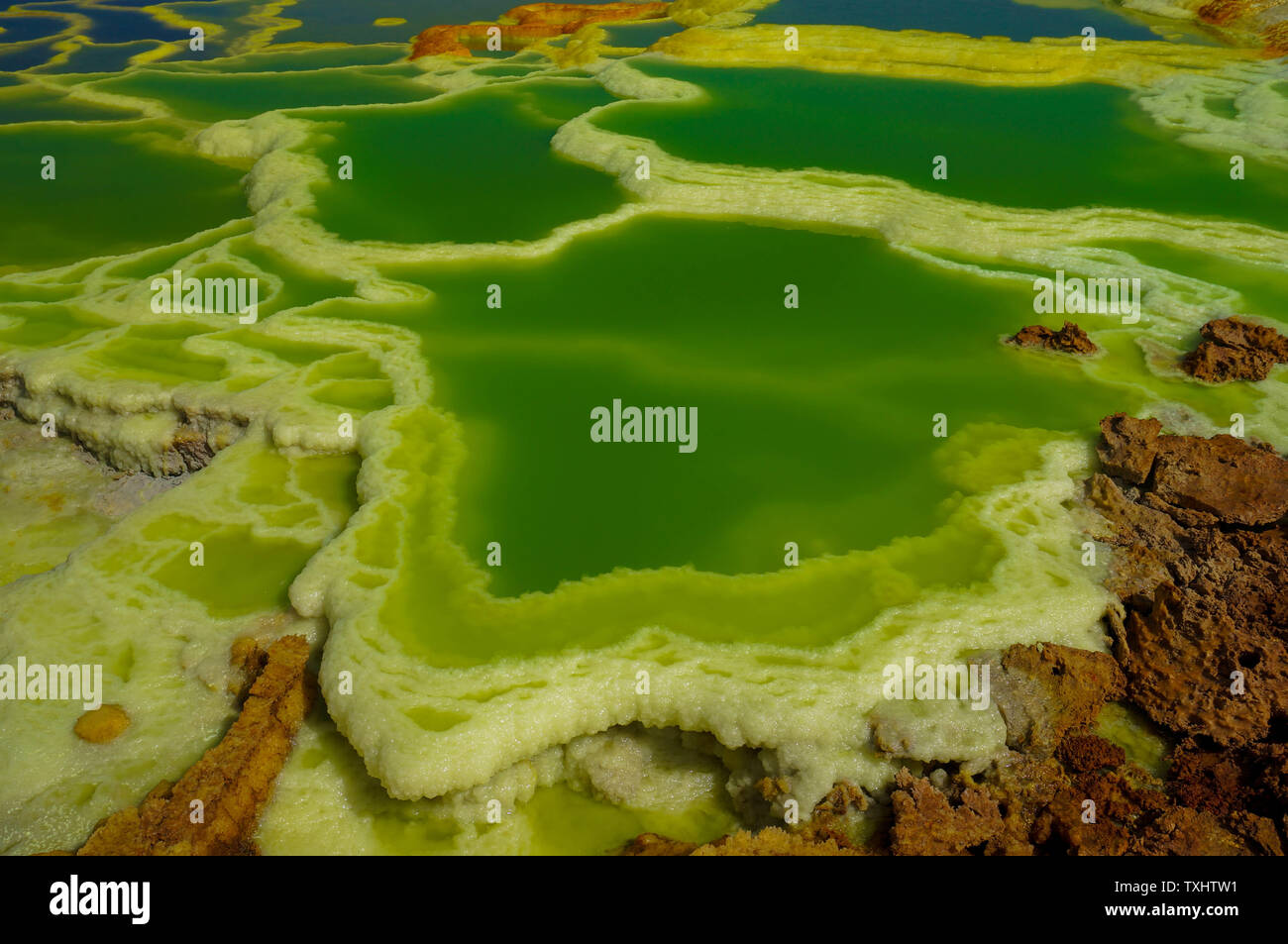 Multi-acqua colorata a una primavera calda a Dallol, Danakil depressione, Etiopia. Foto Stock