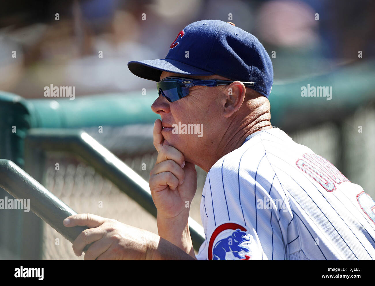 Datazione allenatore Chicago il
