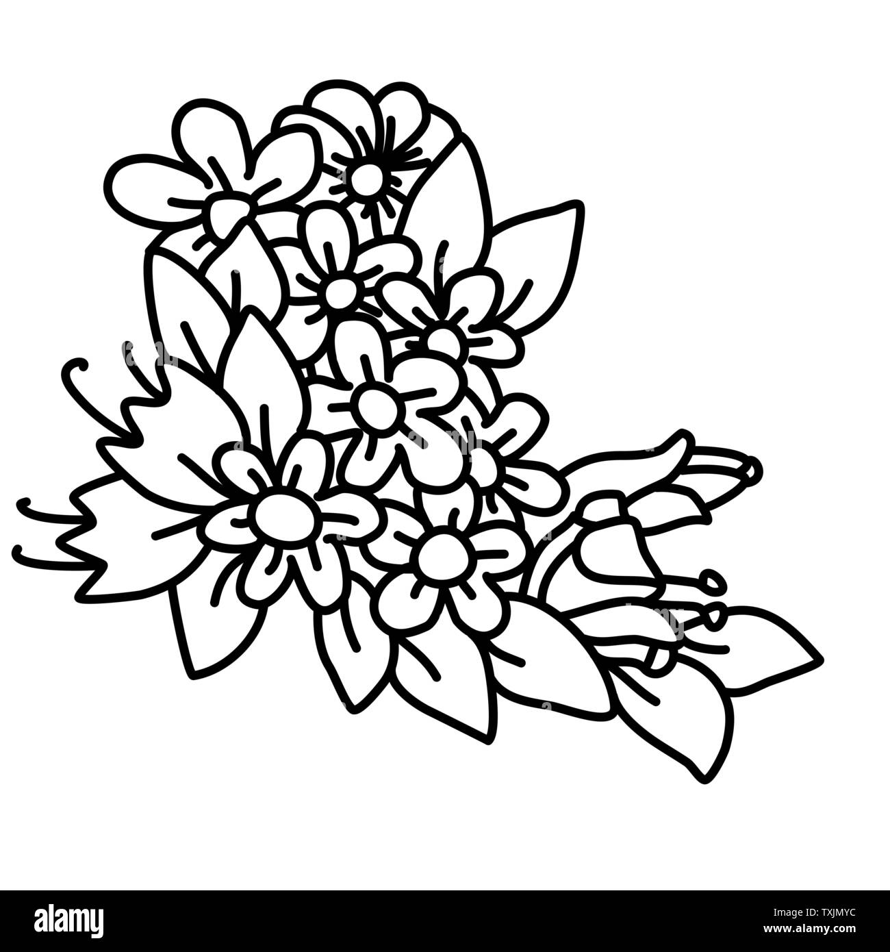 Bianco e nero Mazzo di fiori e foglie. Doodle illustrazione floreale. Illustrazione Vettoriale. Illustrazione Vettoriale