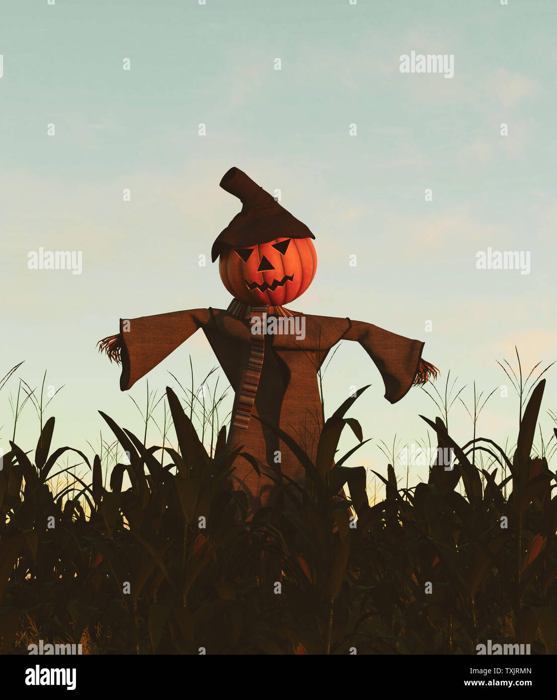 Lo Spaventapasseri zucca nel campo di mais,3d rendering Foto Stock