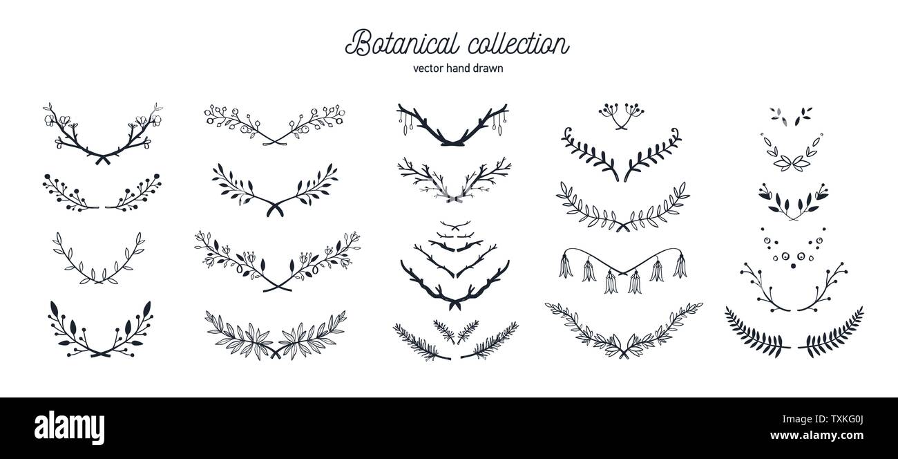 Vettore disegnati a mano vintage allori floreali. Set di natura doodle fiori e brunch per matrimoni, compleanni e carte Illustrazione Vettoriale