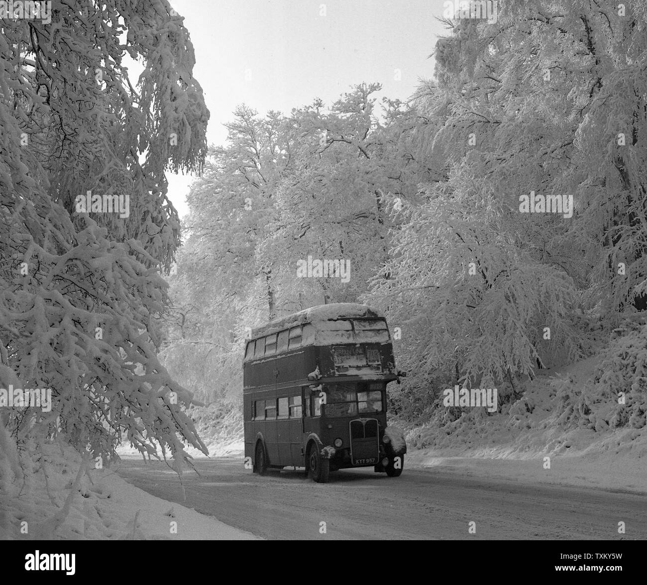 Una coperta di neve unità bus con cautela attraverso la Foresta di Epping, Essex, sulla A11 road. Foto Stock