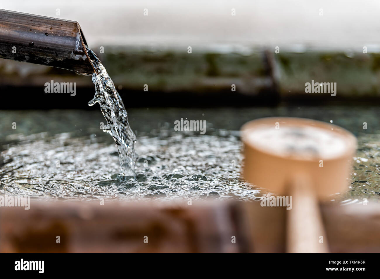 Fontana di purificazione a Kyoto, in Giappone con bambù siviera e acqua che scorre dal tubo di lancio Foto Stock