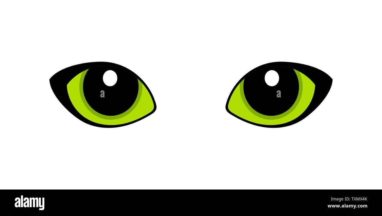 Gatto verde occhi isolati su sfondo bianco. Illustrazione Vettoriale Illustrazione Vettoriale