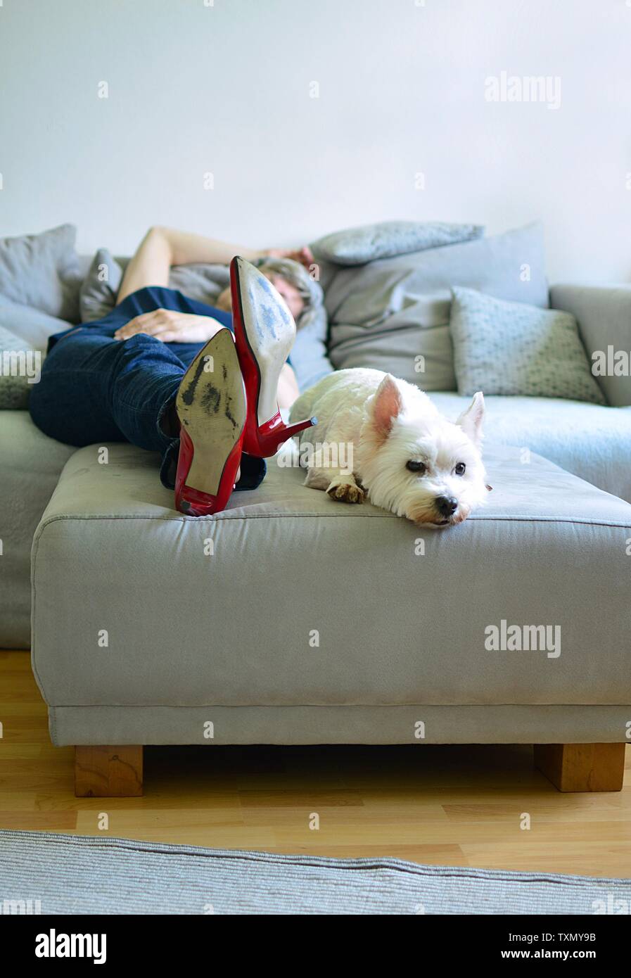 Donna adulta sdraiato sul divano con il cane bianco Foto Stock